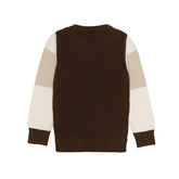 Boys Colourblock Round Neck Sweater